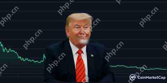 Meme币TRUMP首次赋能？传川普将为代币持有者办晚宴